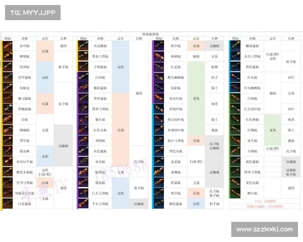 如何通过净化红字装备提升品质与属性助力角色成长与战力提升 如何通过净化红字装备提升品质与属性助力角色成长与战力提升