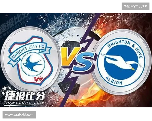 全面探寻加的夫城球队所参与足球联赛类型的实用辨识攻略大全指南